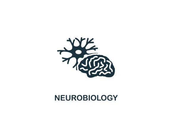 Neurobiology Icon: A Versatile Symbol for Science